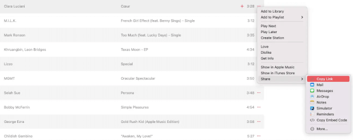 Keep Songs from Apple Music Soundloaders Copy Link Desktop