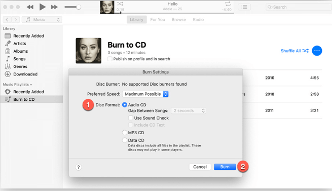 Apple Music to CD Converter Part 4 Burn 