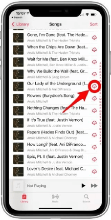 Download All Apple Music At Once iPhone Step 2