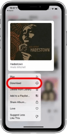 Download All Apple Music At Once Step 3