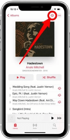 Download All Apple Music At Once iPhone Step 4
