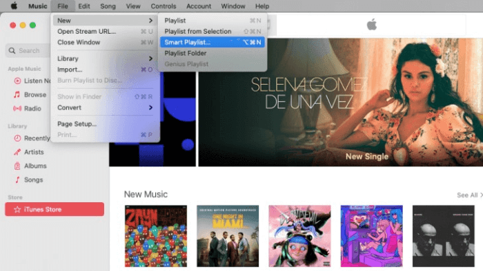 Download All Apple Music At Once Mac Step 2