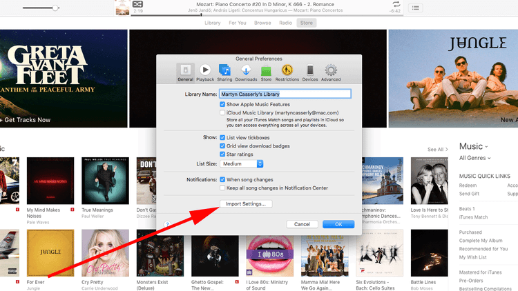 iTunes to MP3 Mac iTunes Import Settings