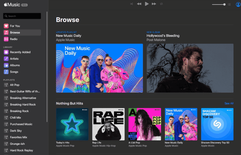 Spotify Alternative Apple Music Interface