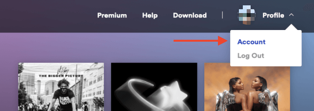 Cancel Spotify Premium on Windows