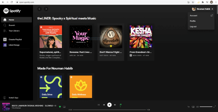 High Quality Streaming Spotify Web Player