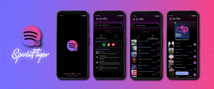 Download Spotify Music without Premium SpotiFlyer