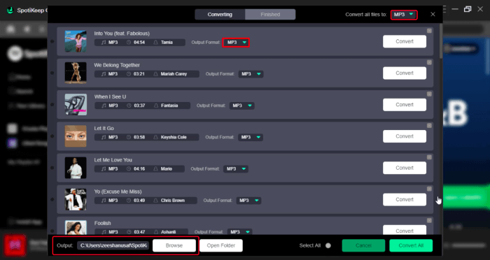 Spotify Downloader SpotiKeep Customize Output Settings